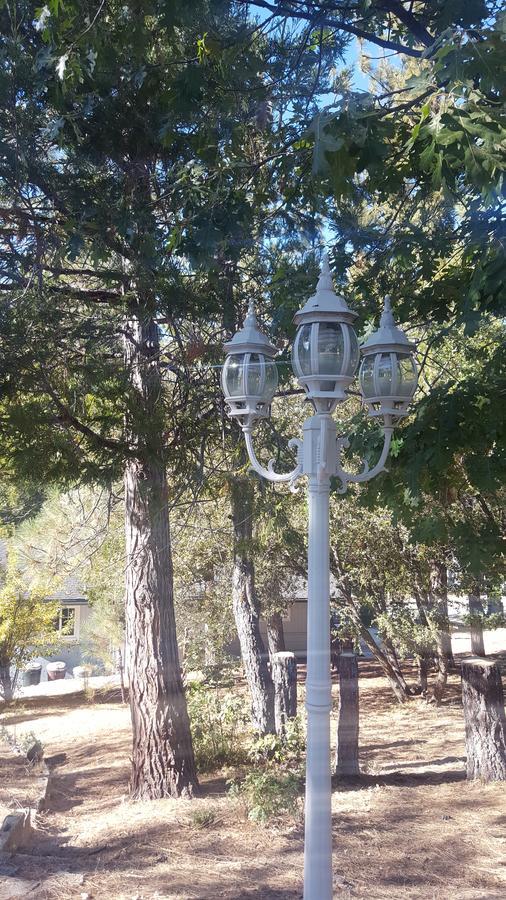 Bluebird Cottage Inn Idyllwild Extérieur photo