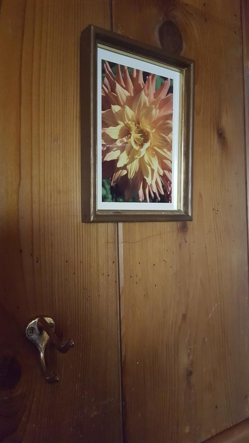 Bluebird Cottage Inn Idyllwild Extérieur photo