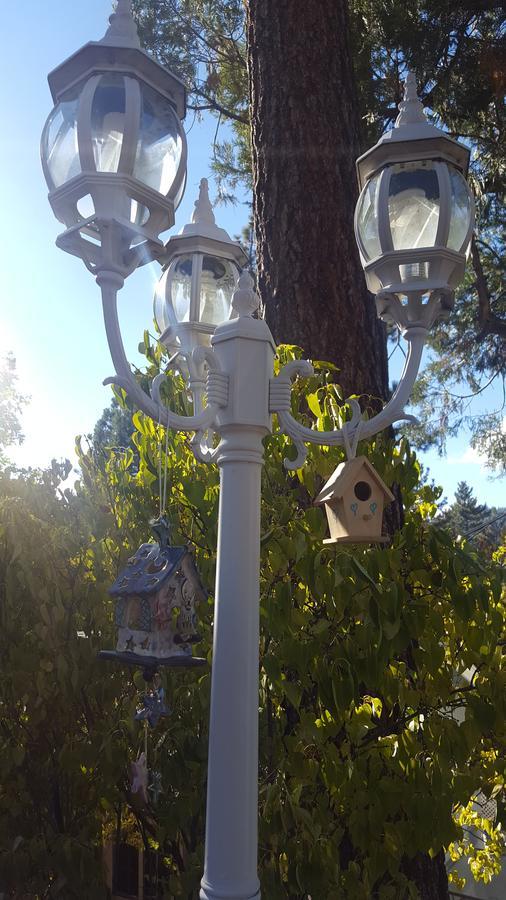 Bluebird Cottage Inn Idyllwild Extérieur photo