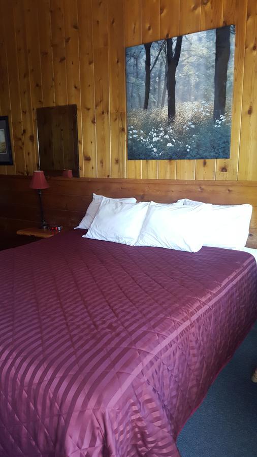 Bluebird Cottage Inn Idyllwild Extérieur photo